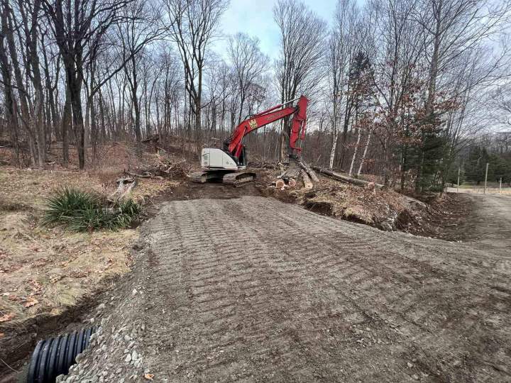 Des services de déboisement sur mesure pour réussir vos projets de construction